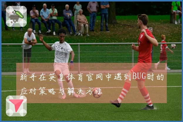 新手在英皇体育官网中遇到BUG时的应对策略与解决方法